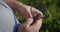 Top view: Researcher looks at large deer beetle through magnifying glass