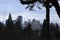 Top view of residential buildings. Portland. Oregon. USA.