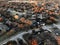 Top view residential subdivision street with colorful leaves autumn sunset in America