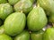 Top view of ripe avocado fruits