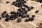 Top view of roasted coffee beans on burlap cloth, with selective focus