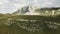 Top view of rock erosion. Stock. Panoramic view of heavily textured and eroded white rock. Green cover of rocky surface