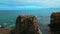 Top view of rocky cliff with seagulls on seascape background. Clip. Seagulls sit on top of rocky cliff in sea. Beautiful