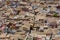 Top view of roofs in crowded city