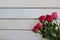 Top view of roses on white wooden board with copyspace background for valentines day concept. Blank on left space for message.