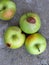 Top view of rotten apple fruit, mildew, diseases, orchard, farm, agriculture, harvest, production. Monilinia fructigena