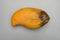 top view of rotten mango close up on a grey background