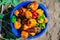 Top view of a round bowl of freshly picked bell peppers. A bowl full of juicy sweet peppers stands on the soil in the