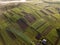 Top view of rural landscape on sunny spring day. Farm cottage, houses and barns on green and black fields. Drone photography