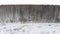Top view of rural road at of forest in winter. Stock. Side view of snow-covered rural road passing through outskirts of
