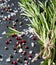 Top view salt and pepper on dark stone with rosemary