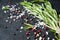 Top view salt and pepper on dark stone with rosemary