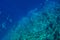 Top view on scuba divers group swimming who exploring deep dark ocean blue water near a coral reef. Male and female in