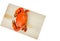 Top view of Scylla serrata. One steamed crab on wood cutting board on white background with copy space.