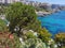 Top view of the sea and the garden with pines, bougainvilleas, mimosas and other flowers. The Aegean sea. Turkey