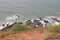 Top view of the sea and rocks. India, GOA