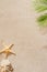 top view of seashell, coral and starfish lying on sandy beach