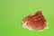 Top view of serrano ham slices isolated on a green background