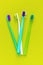 top view set of four color classic toothbrush on color surface flat lay s