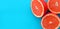 Top view of a several grapefruit slices on bright background in blue color. A saturated citrus texture image