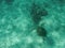 Top view shot of a sea turtle swimming in a crystal clear ocean