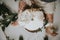 Top view shot of an unrecognizable baby sitting near a cake with pieces of cake on its body parts