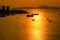 Top view of silhouette boats on golden sea Koh Chang Thailand