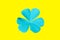 Top view, Single clover flower cyan coloroxalis corniculata blossom bloom isolated on yellow background, stock photo, flora