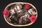 Top view of sleeping cute kittens in a basket with red roses flowers