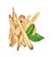 Top view of Slice Licorice roots on white background