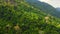 Top view of Slopes of mountains with evergreen vegetation.