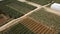 Top view of small fields for growing of food plants. Clip. Various fields of small areas for growing food vegetation for