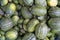 Top view of small unripe melons to make pickles, from a local market