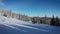 Top view of snow covered winter pine forest in the mountains aerial by drone