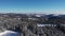 Top view of snow covered winter pine forest in the mountains aerial by drone