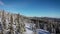 Top view of snow covered winter pine forest in the mountains aerial by drone