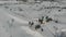 Top view of snow tubing and rope tow ski lift at ski resort