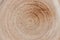 Top view spiral lines of the ceramic brown plate, abstract background of infinity with copy space