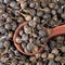 Top view of spoon on pile of dried cubeb pepper