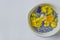 Top view of spring blue and yellow flowers buds isolated in round frame on the white background. On the right side.