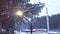 Top view of street lamp on background of forest in snow. Clip. Beautiful view of falling snow illuminated by street lamp