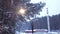 Top view of street lamp on background of forest in snow. Clip. Beautiful view of falling snow illuminated by street lamp