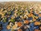 Top view subdivision neighborhood and colorful fall foliage in Flower Mound, America