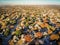 Top view subdivision neighborhood and colorful fall foliage in Flower Mound, America