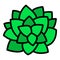 Top view succulent plant icon, outline style