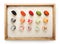 Top view on sushi rolls and gunkan in wooden frame on white rice background and texture copy space, isolated