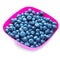 A top view of sweet juicy blueberries in a bright pink plastic bowl, isolated on a white background. Berries full of vitamins.
