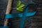 Top view of teal ribbon on dark background with growing plant. Cervical and ovarian cancer, sexual assault, pcos, ptsd, anxiety
