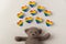 Top view of a teddy bear with rainbow hearts colors on top for the LGBTQ community