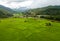 Top view Terraced rice field at Chiangmai Northern Thailand